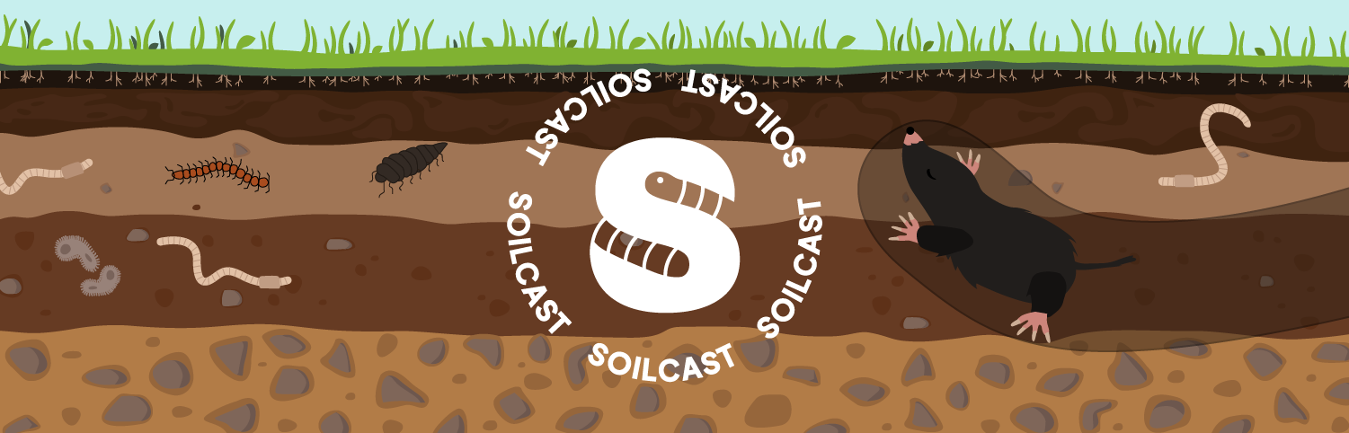 stilisiertes Bodenprofil mit dem Soilcast Podcast Logo, Bodenhorizonten, einem Maulwurf und weiteren Organismen